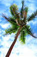 FIJI