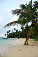 FIJI