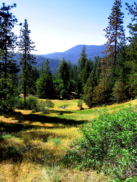 Hiking