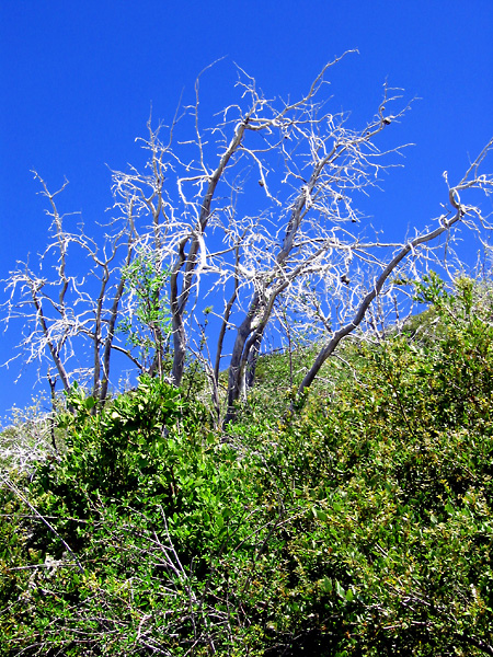 Hiking
